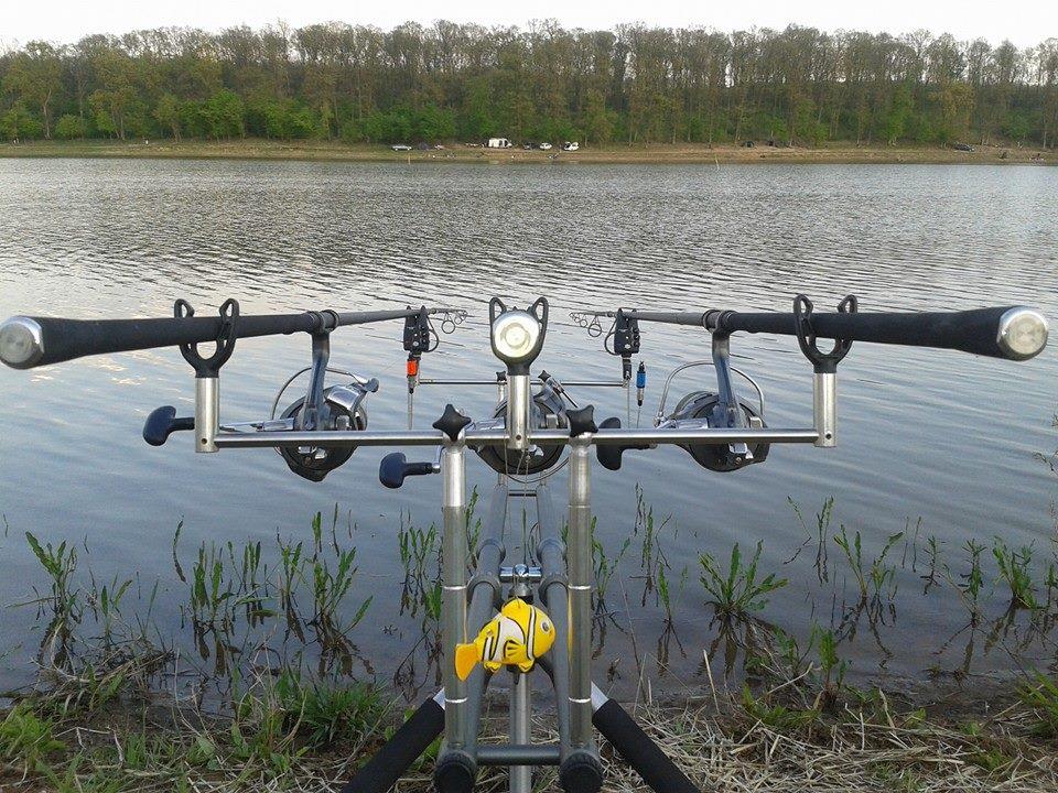 2015 - 10847981952084148157738109789365913097392n.jpg